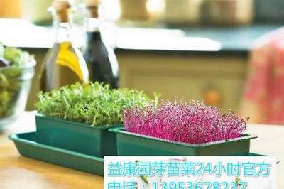 多媒體技術研發 驅動數字時代創新與應用的新引擎